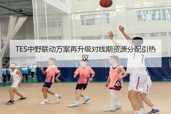 TES中野联动方案再升级对线期资源分配引热议